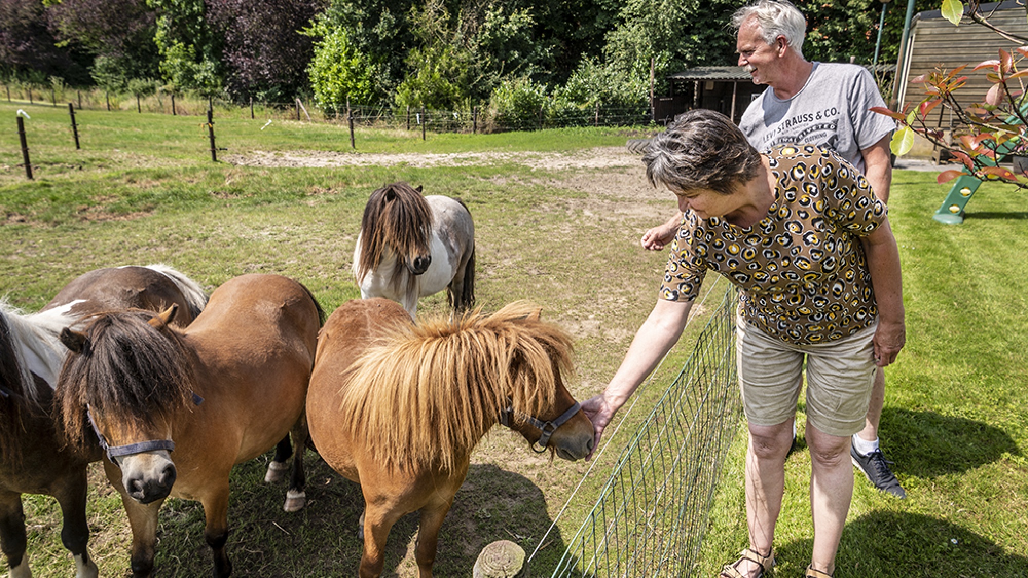 Hans en Annemarie van Nuland, de eerste eigenaren van een appartement in de woontoren bij hun paarden