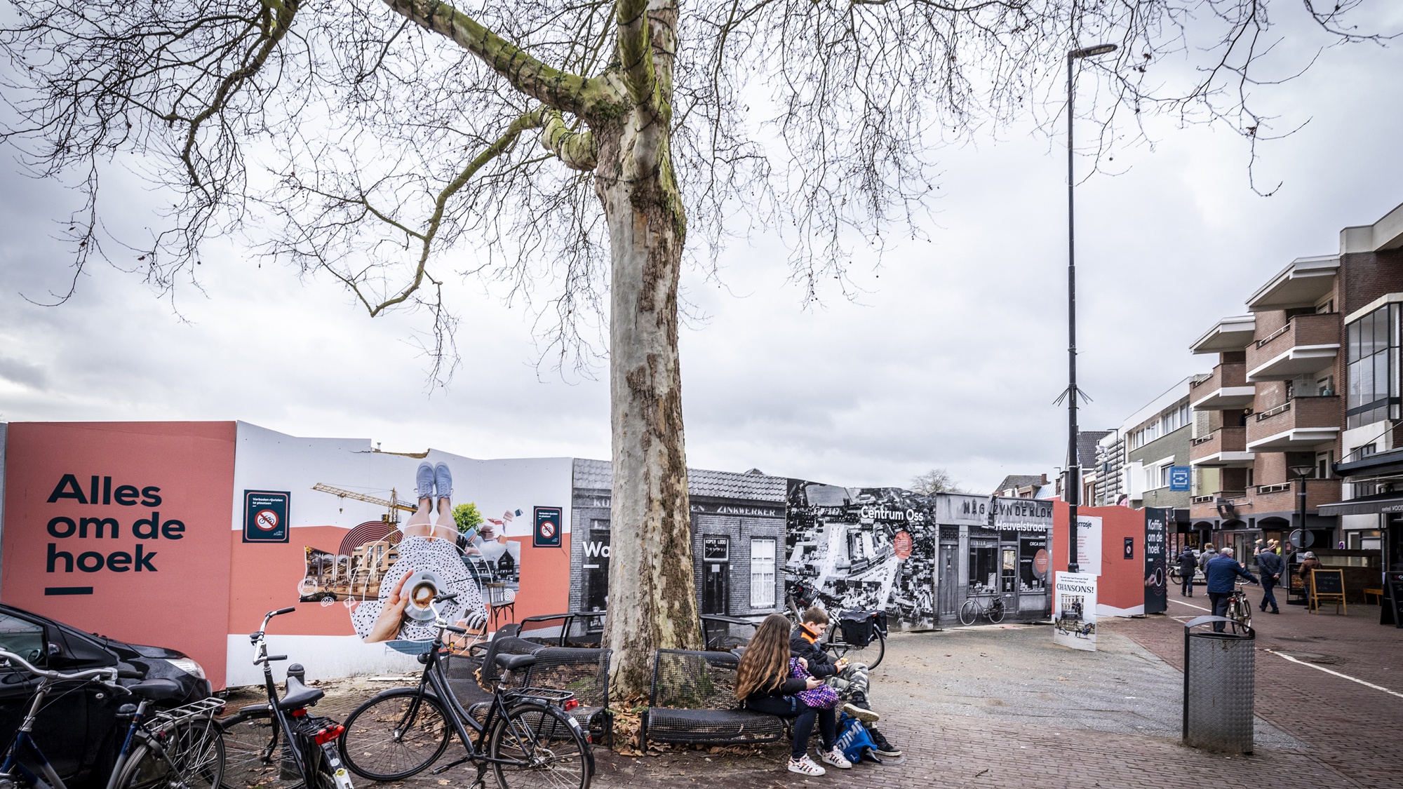 Jeugd bij de boom